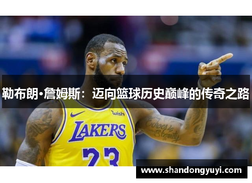 勒布朗·詹姆斯：迈向篮球历史巅峰的传奇之路