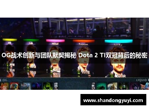 OG战术创新与团队默契揭秘 Dota 2 TI双冠背后的秘密