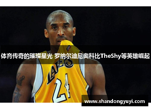 体育传奇的璀璨星光 罗纳尔迪尼奥科比TheShy等英雄崛起